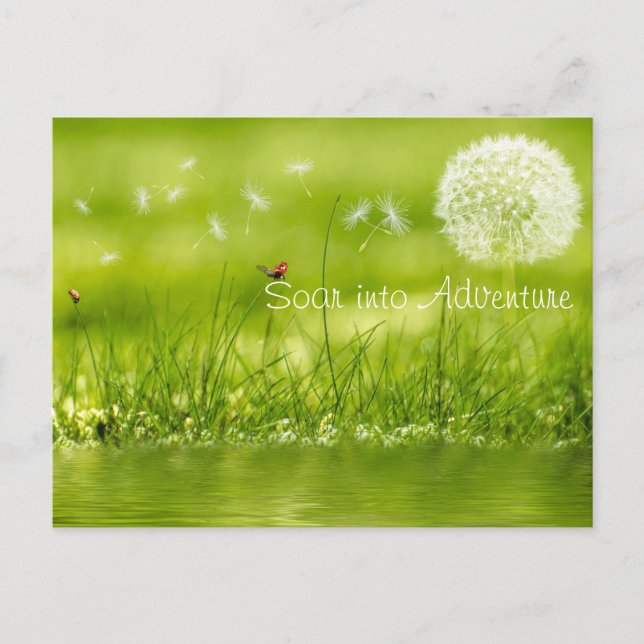 Soar into Adventure Postcard (Front)