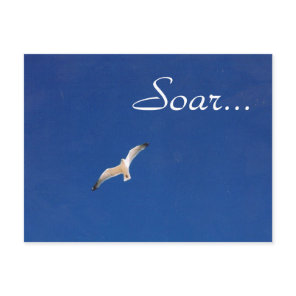 Soar Postcard