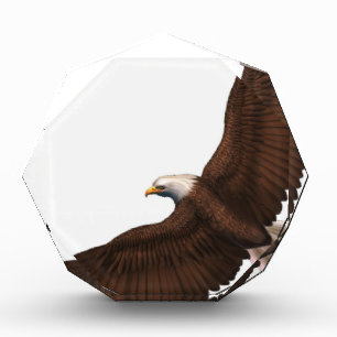 Soaring Bald Eagle Award