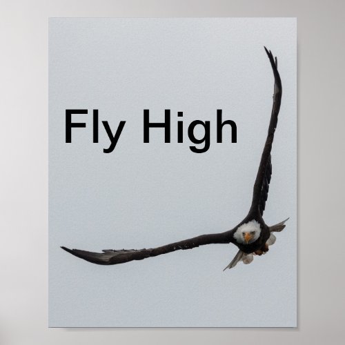 Soaring Bald Eagle Bird Flight Inspiration Nature Poster