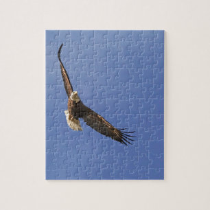 Soaring Bald Eagle Jigsaw Puzzle