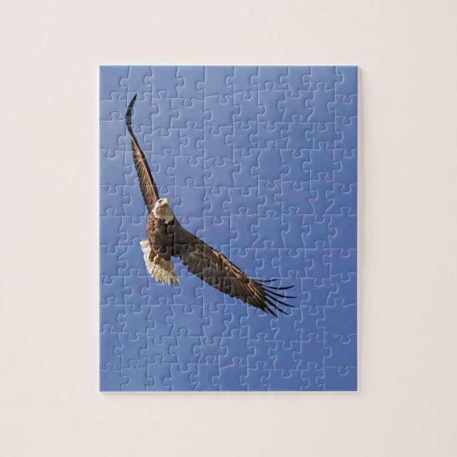 Soaring Bald Eagle Jigsaw Puzzle (Vertical)