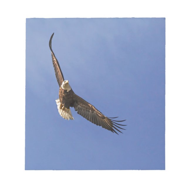 Soaring Bald Eagle Notepad (Front)