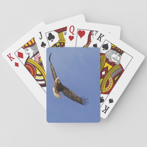 Soaring Bald Eagle Poker Cards