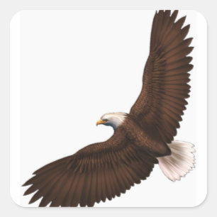 Soaring Bald Eagle Square Sticker