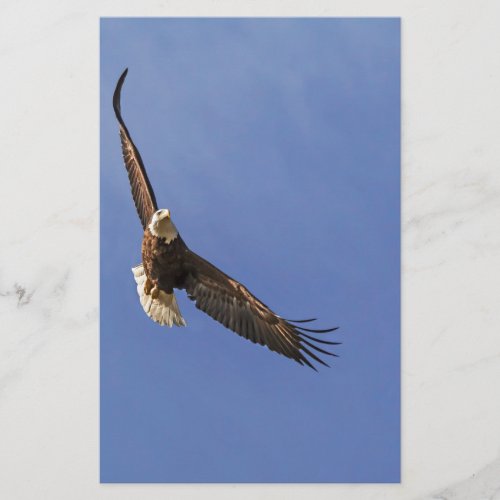 Soaring Bald Eagle Stationery