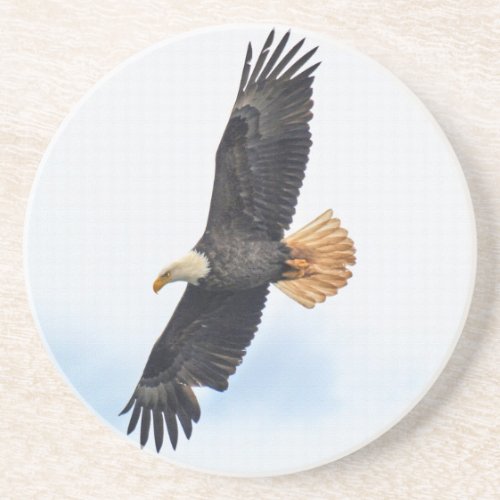 Soaring Bald Eagle Wildife Photo Art Drink Coaster