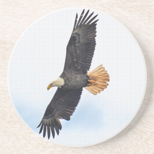 Soaring Bald Eagle Wildife Photo Art Drink Coaster (Front)