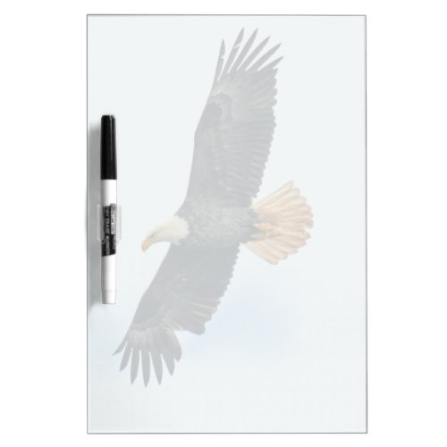 Soaring Bald Eagle Wildife Photo Art Dry Erase Board
