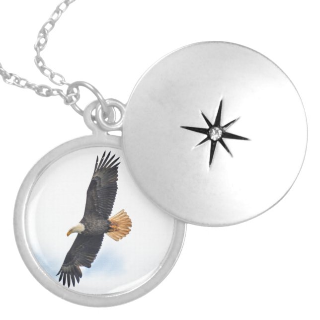 Soaring Bald Eagle Wildife Photo Art Locket Necklace (Front)