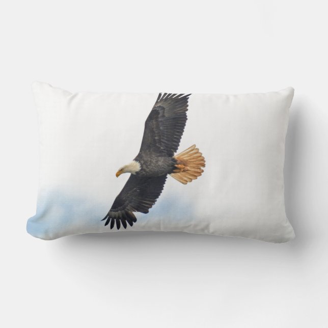Soaring Bald Eagle Wildife Photo Art Lumbar Pillow (Front)
