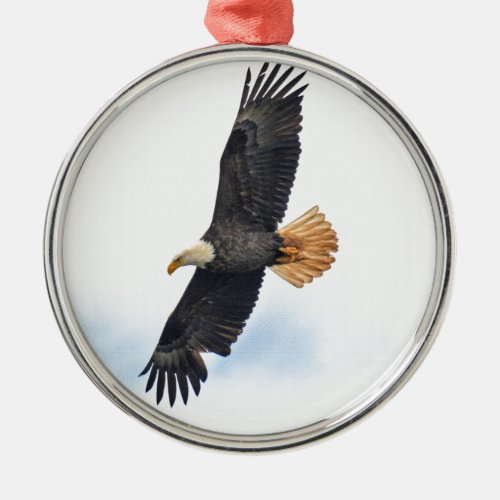 Soaring Bald Eagle Wildife Photo Art Metal Ornament