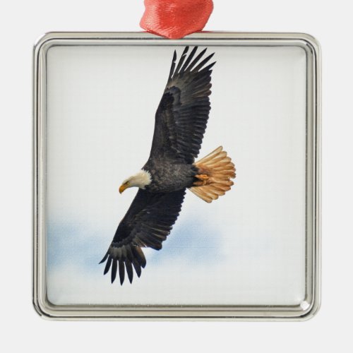 Soaring Bald Eagle Wildife Photo Art Metal Ornament