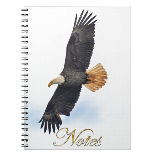 Soaring Bald Eagle Wildife Photo Art Notebook
