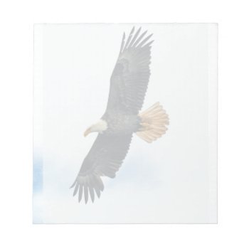 Soaring Bald Eagle Wildife Photo Art Notepad by RavenSpiritPrints at Zazzle