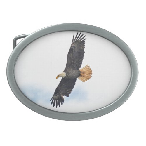 Soaring Bald Eagle Wildife Photo Art Oval Belt Buckle