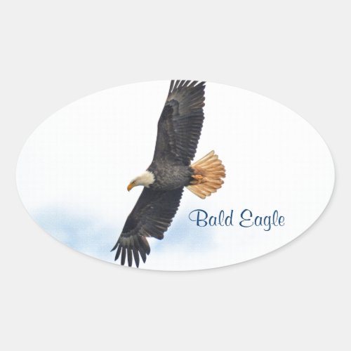 Soaring Bald Eagle Wildife Photo Art Oval Sticker