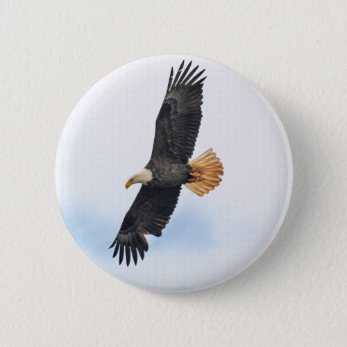 Soaring Bald Eagle Wildife Photo Art Pinback Button