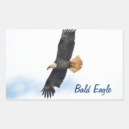 Soaring Bald Eagle Wildife Photo Art Rectangular Sticker