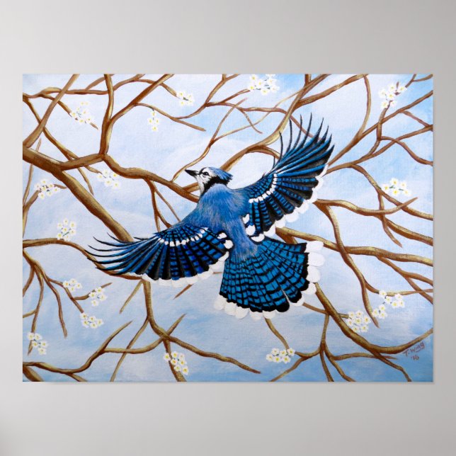 Soaring Blue Jay Poster (Front)