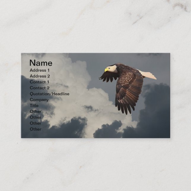 SOARING EAGLE BUSINESS CARD (Front)