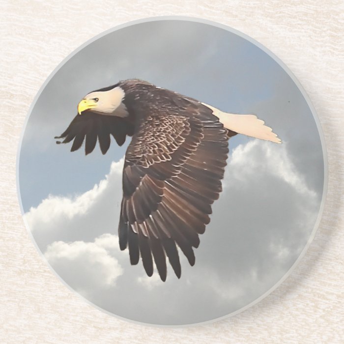 SOARING EAGLE COASTERS