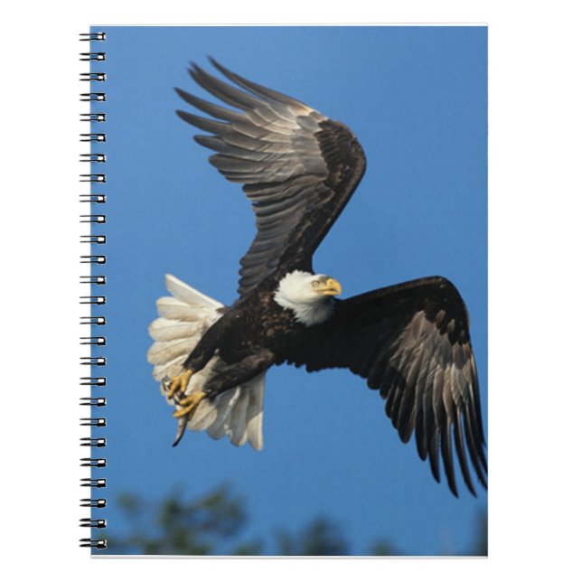 Soaring Eagle Notebook (Front)