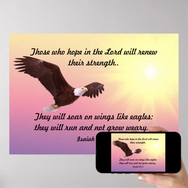 Soaring Eagle Poster Zazzle