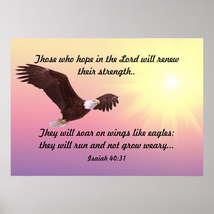 Soaring Eagle Poster Zazzle