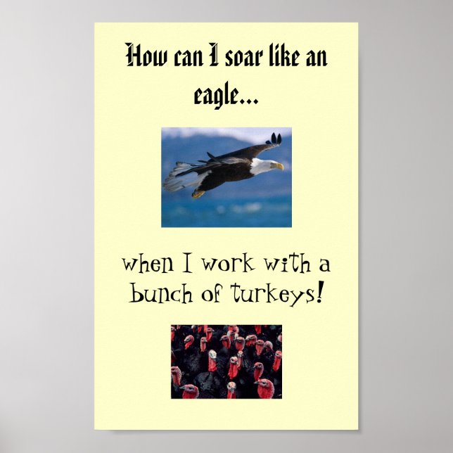 soaring eagle, Turkeys, How can I soar like an ... Poster (Front)