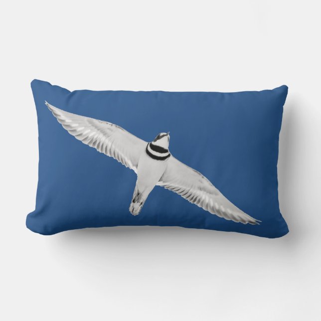 Soaring Killdeer On Blue Lumbar Pillow (Front)