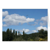 Soaring Osprey (Front Horizontal)