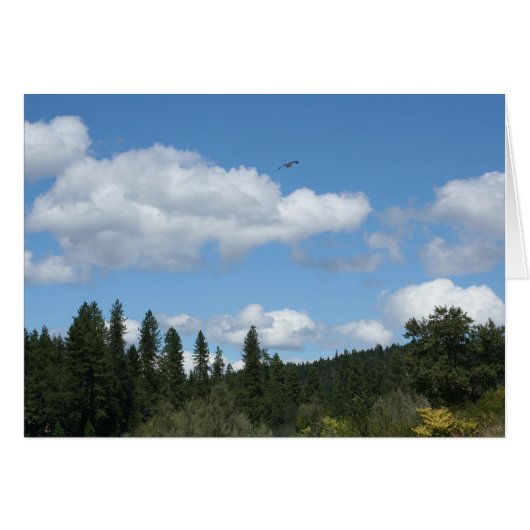 Soaring Osprey (Front Horizontal)