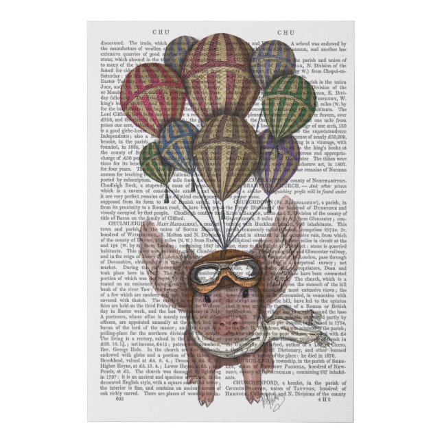 Soaring Pig Faux Canvas Print (Front)