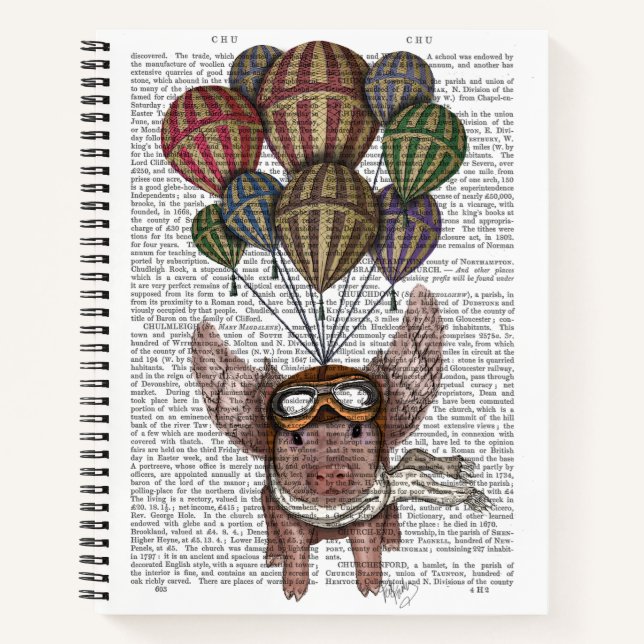 Soaring Pig Notebook (Front)