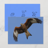 Soaring Red Kite (Front/Back)
