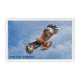 Soaring Red Kite Acrylic Tray