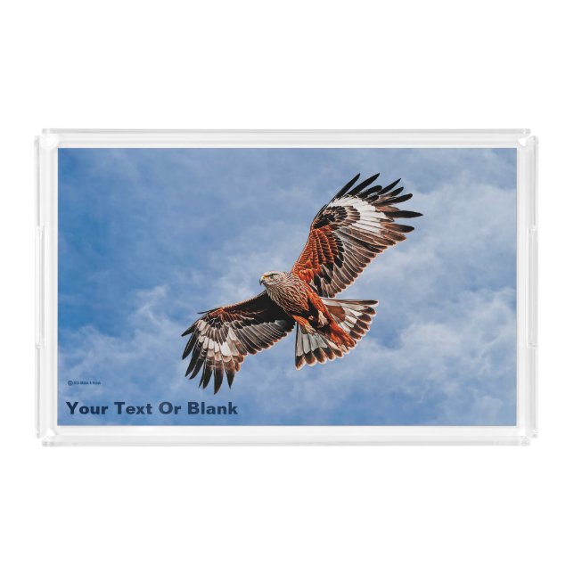 Soaring Red Kite Acrylic Tray (Front)