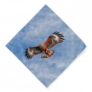 Soaring Red Kite Bandana