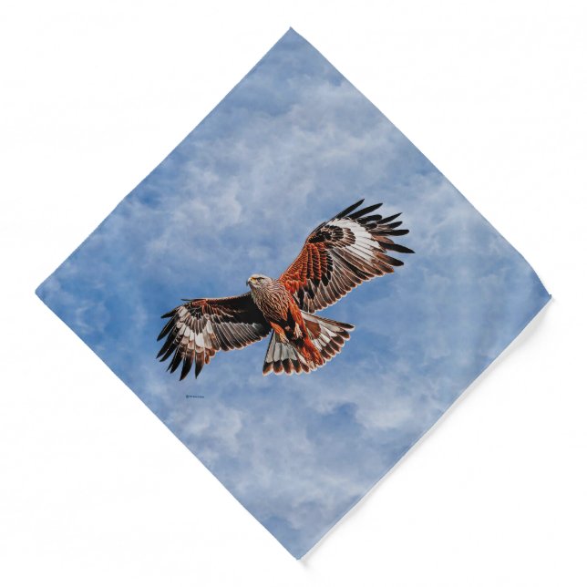 Soaring Red Kite Bandana (Front)