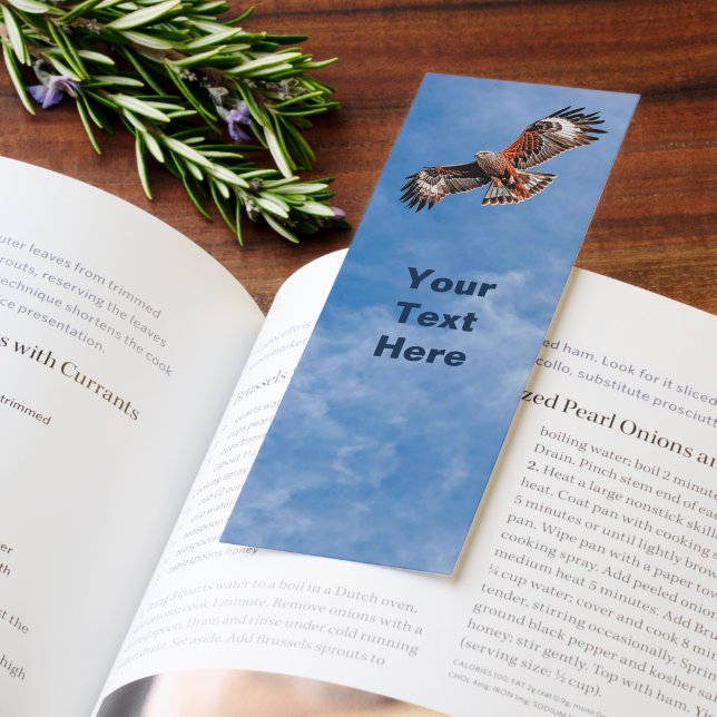 Soaring Red Kite Bookmarks (Book)
