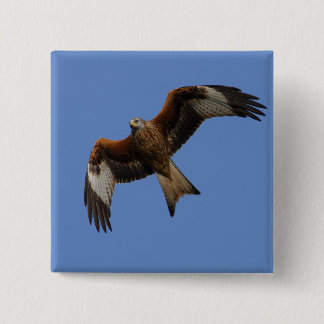 Soaring Red Kite Button