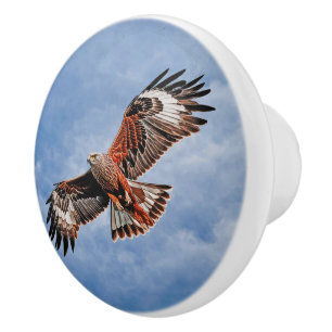 Soaring Red Kite Ceramic Knob