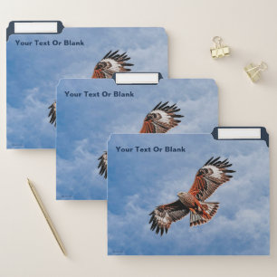 Soaring Red Kite File Folder
