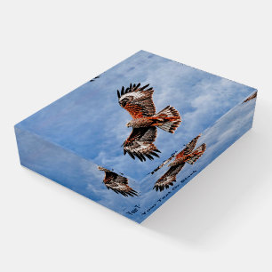 Soaring Red Kite Paperweight