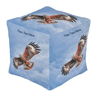 Soaring Red Kite