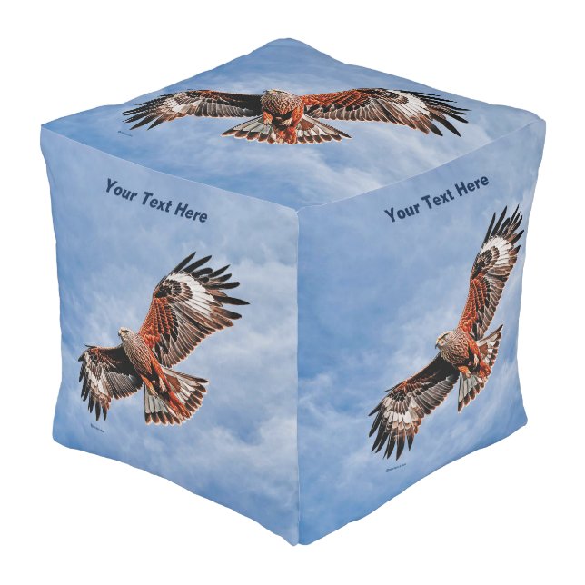 Soaring Red Kite Pouf (Angled Front)
