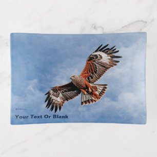 Soaring Red Kite Trinket Tray