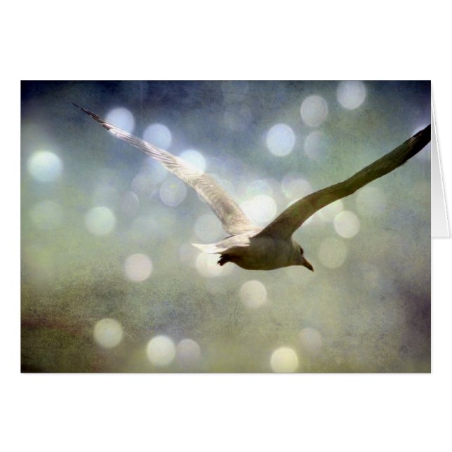 Soaring Seagull All Occasions card (Front Horizontal)