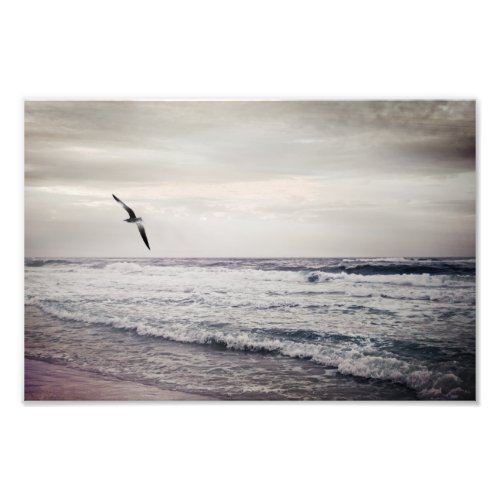 Soaring Seagull at The Beach Photo Print